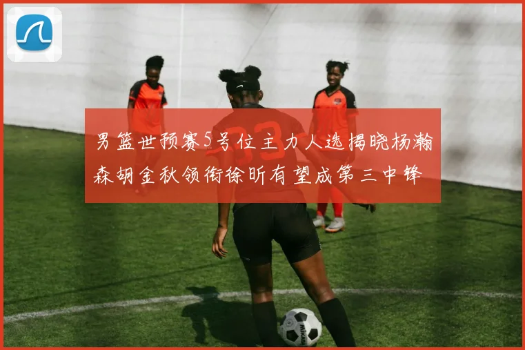男篮世预赛5号位主力人选揭晓杨瀚森胡金秋领衔徐昕有望成第三中锋