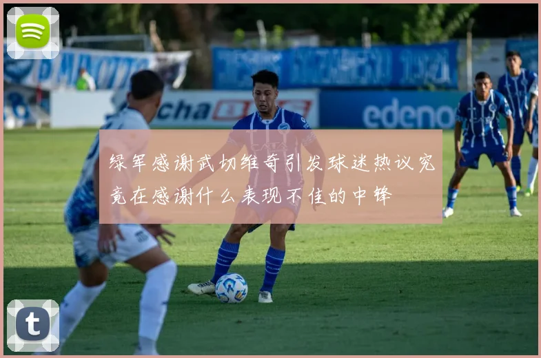 绿军感谢武切维奇引发球迷热议究竟在感谢什么表现不佳的中锋